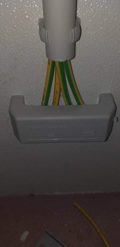 IMG-6761